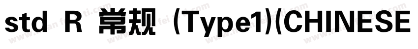 std R 常规 (Type1)(CHINESE GB2312)字体转换